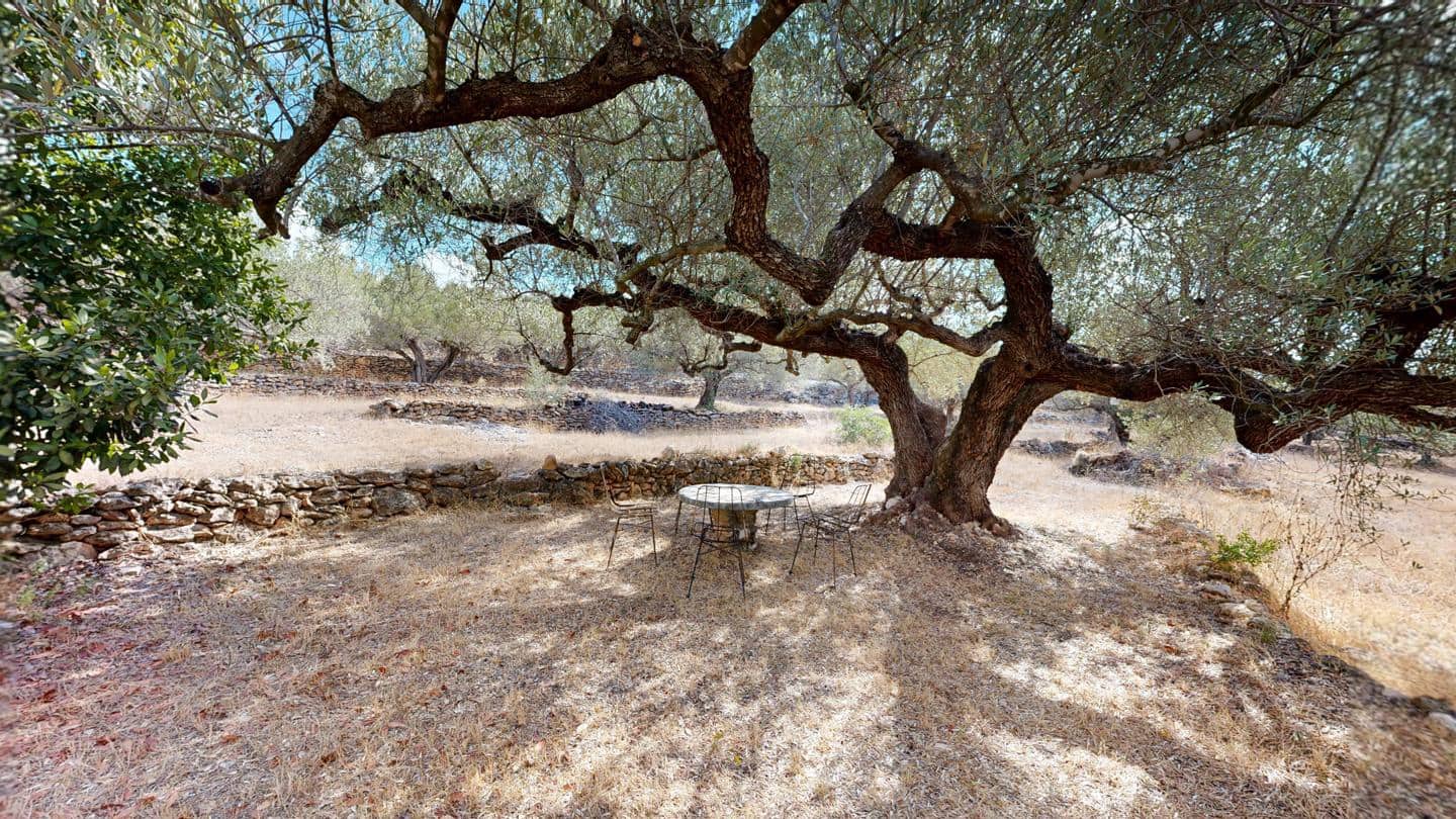 2 Zimmer Finca/Landgut zu verkaufen in Tortosa - 237.000 € (Ref: 10106446)
