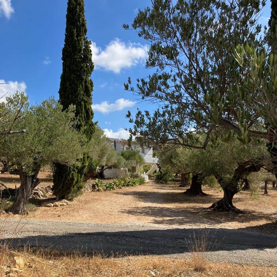 2 Zimmer Finca/Landgut zu verkaufen in Tortosa - 237.000 € (Ref: 10106446)