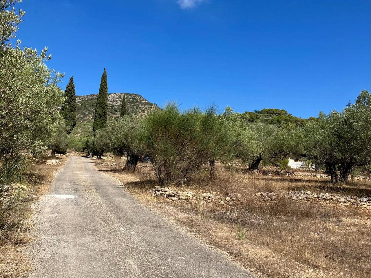 2 Zimmer Finca/Landgut zu verkaufen in Tortosa - 237.000 € (Ref: 10106446)