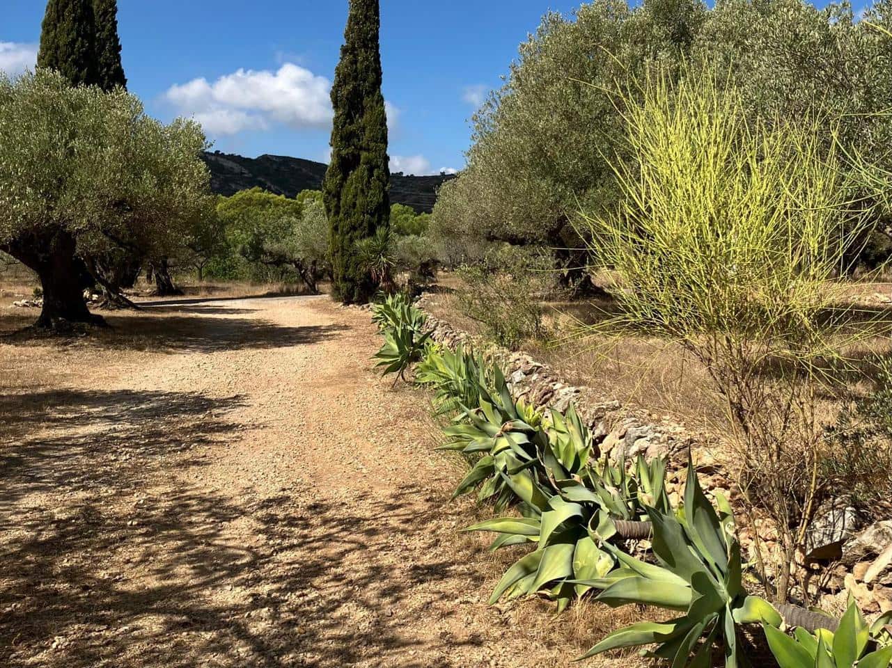 2 Zimmer Finca/Landgut zu verkaufen in Tortosa - 237.000 € (Ref: 10106446)