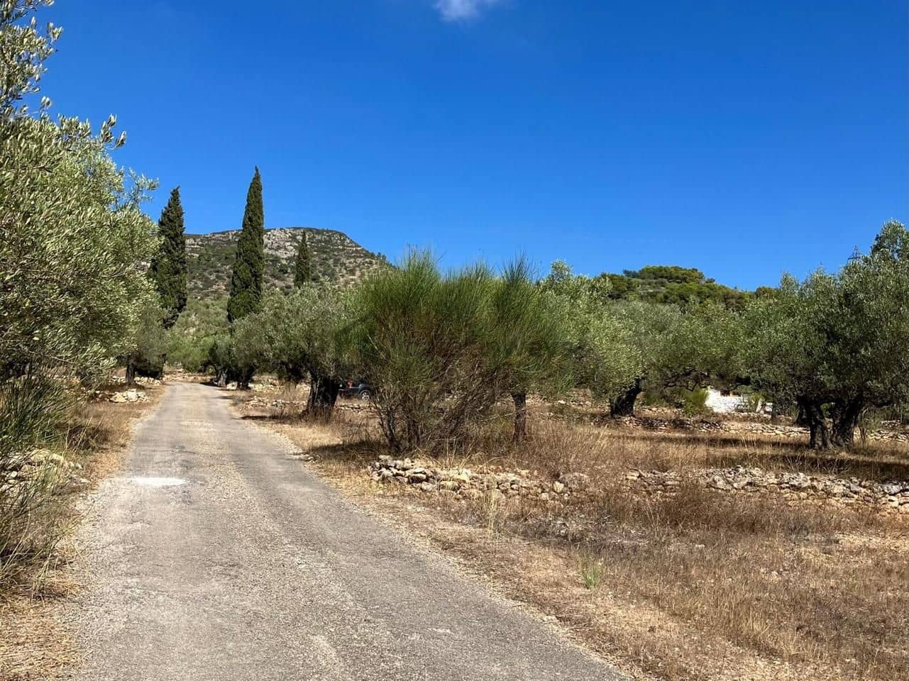 2 bedroom Finca/Country House for sale in Tortosa - € 237,000 (Ref: 10106446)