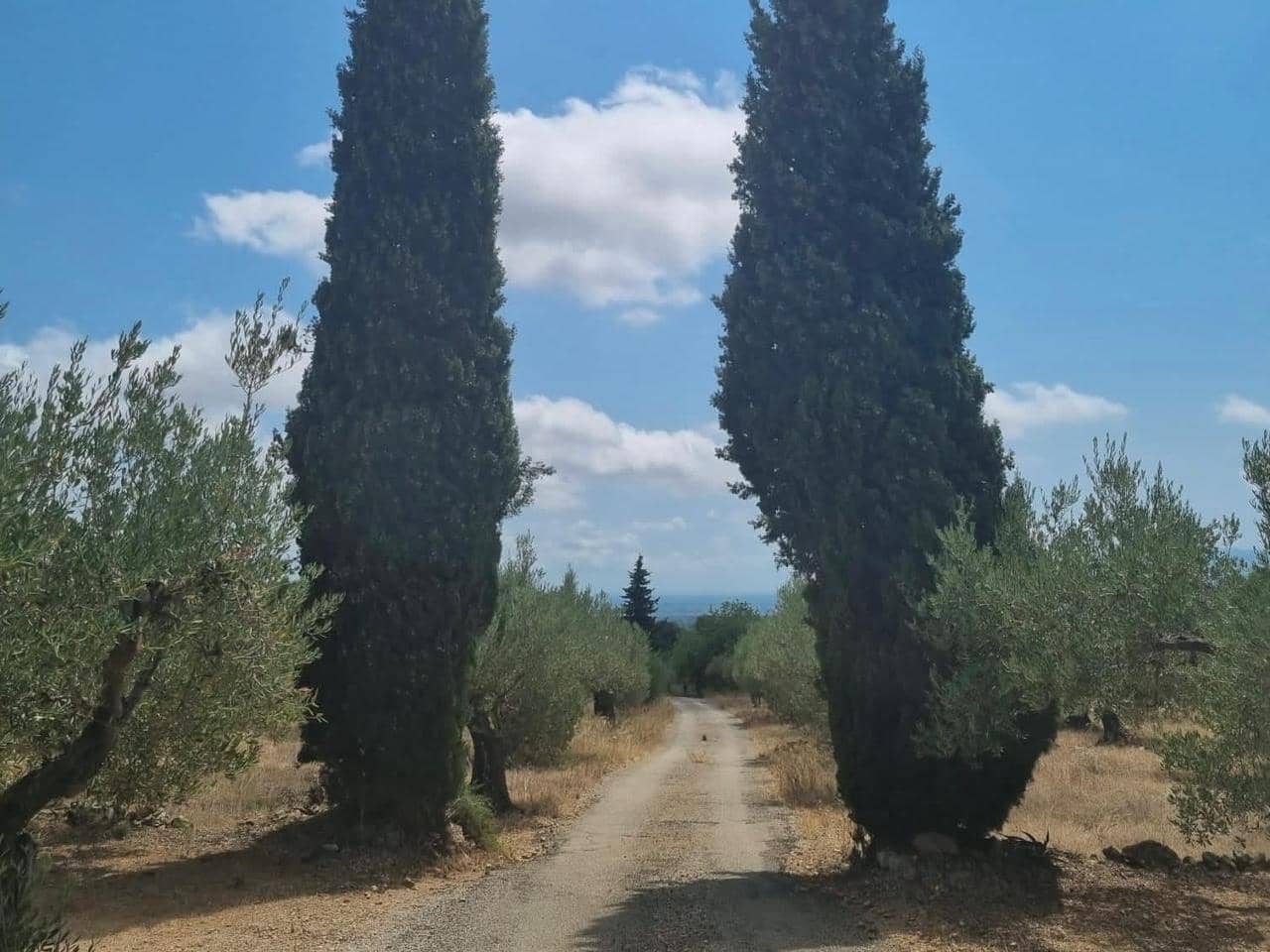 1 camera da letto Finca/Casa di Campagna in vendita in Tortosa - 94.300 € (Rif: 10111840)