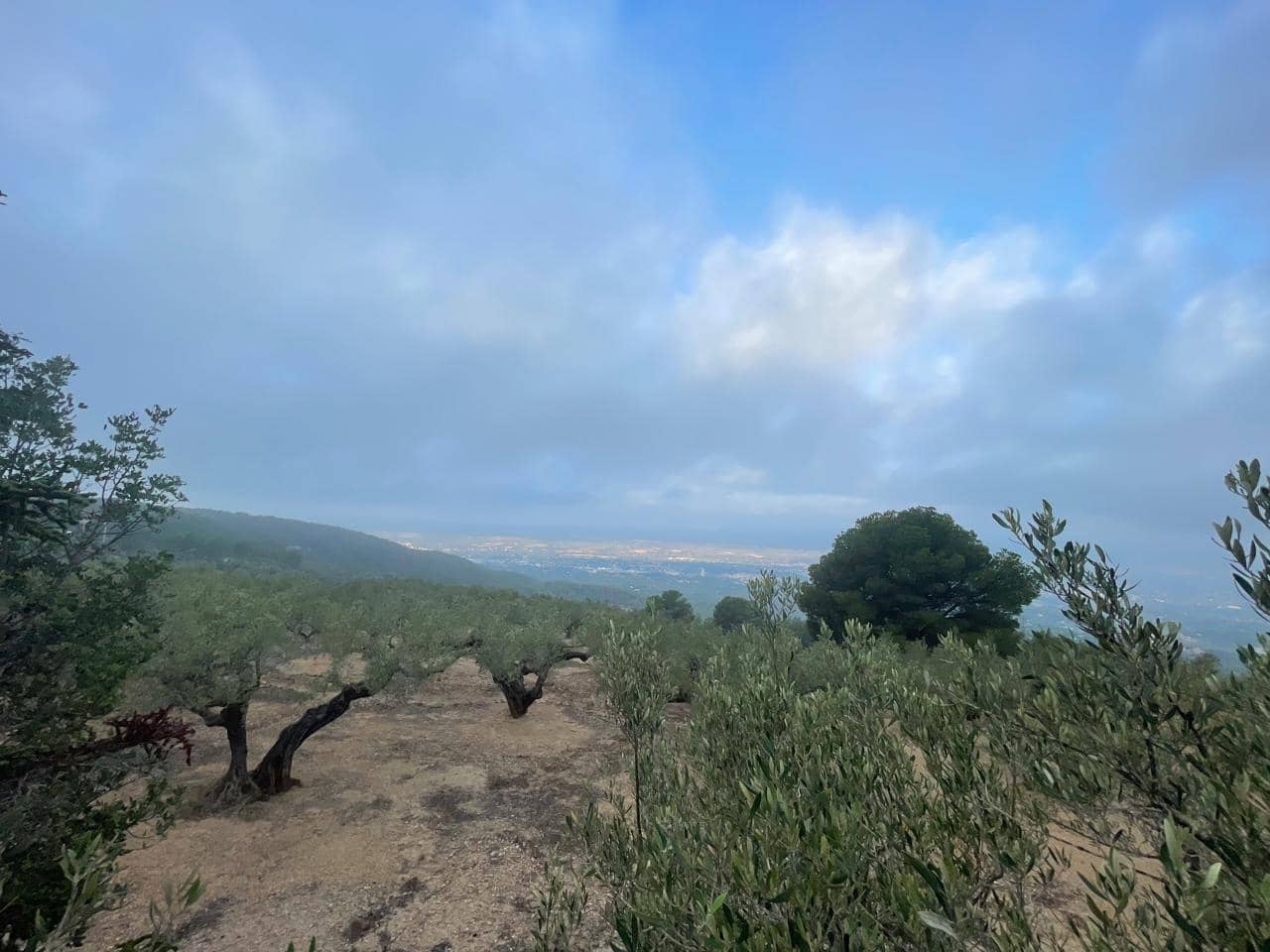 1 quarto Quinta/Casa Rural para venda em Tortosa - 130 000 € (Ref: 8510364)