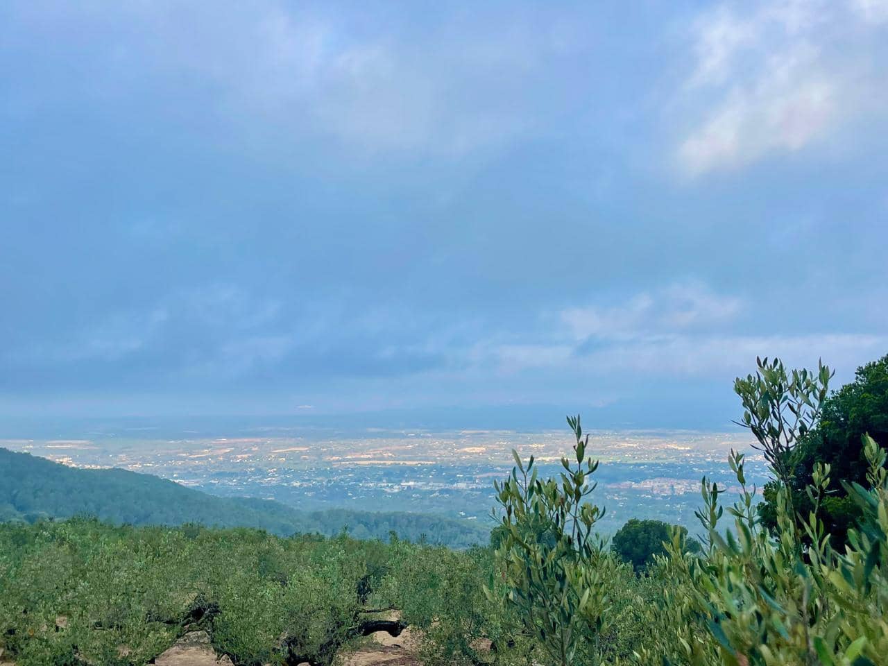 1 quarto Quinta/Casa Rural para venda em Tortosa - 130 000 € (Ref: 8510364)