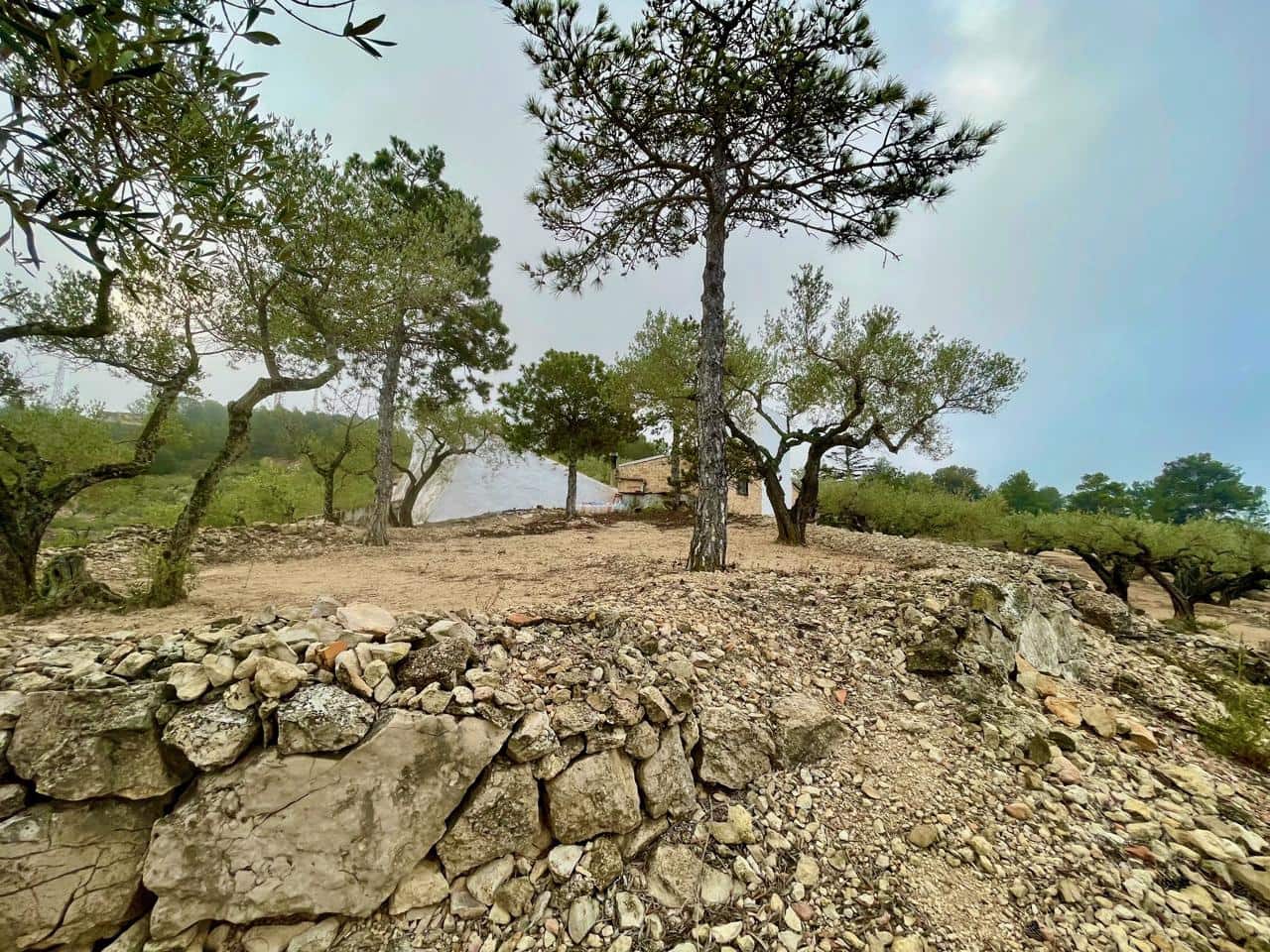 1 quarto Quinta/Casa Rural para venda em Tortosa - 130 000 € (Ref: 8510364)