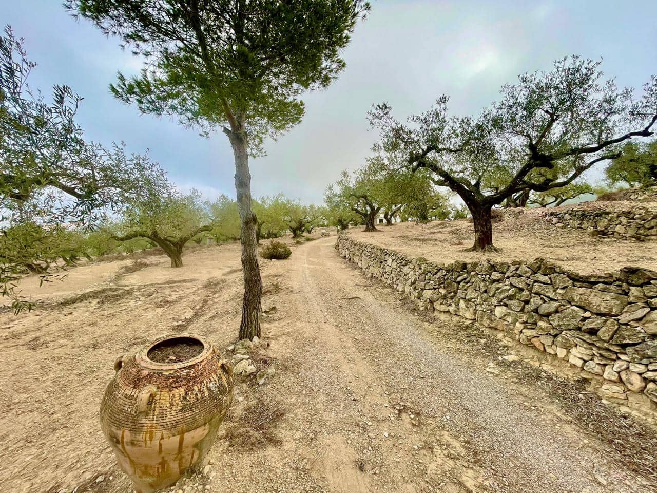 1 quarto Quinta/Casa Rural para venda em Tortosa - 130 000 € (Ref: 8510364)