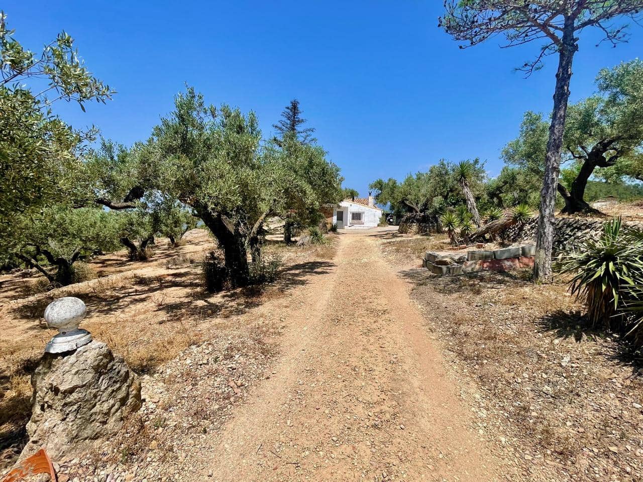 1 quarto Quinta/Casa Rural para venda em Tortosa - 130 000 € (Ref: 8510364)