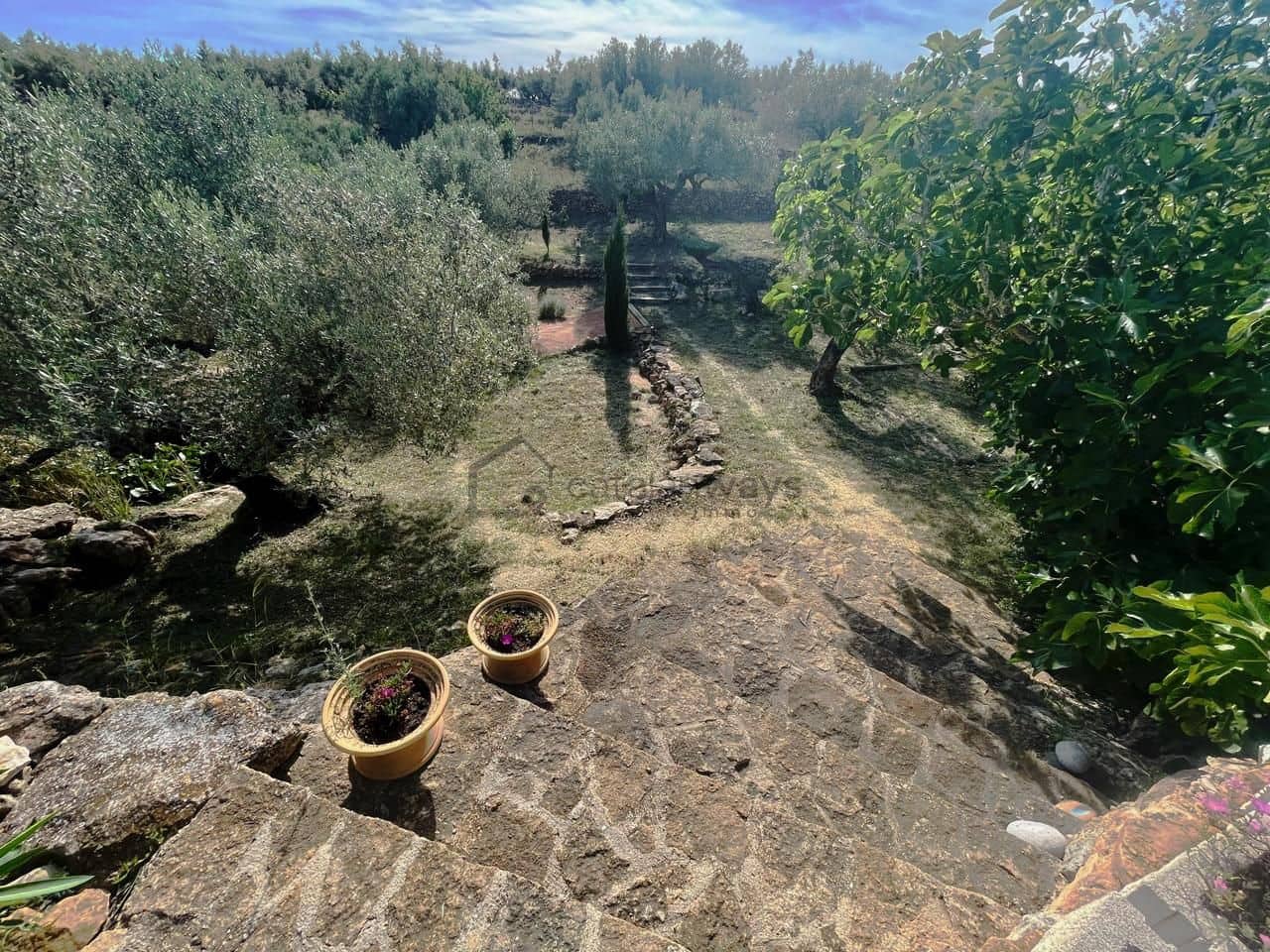 5 soveværelse Finca/Landehus til salg i Camarles - € 459.000 (Ref: 9172161)