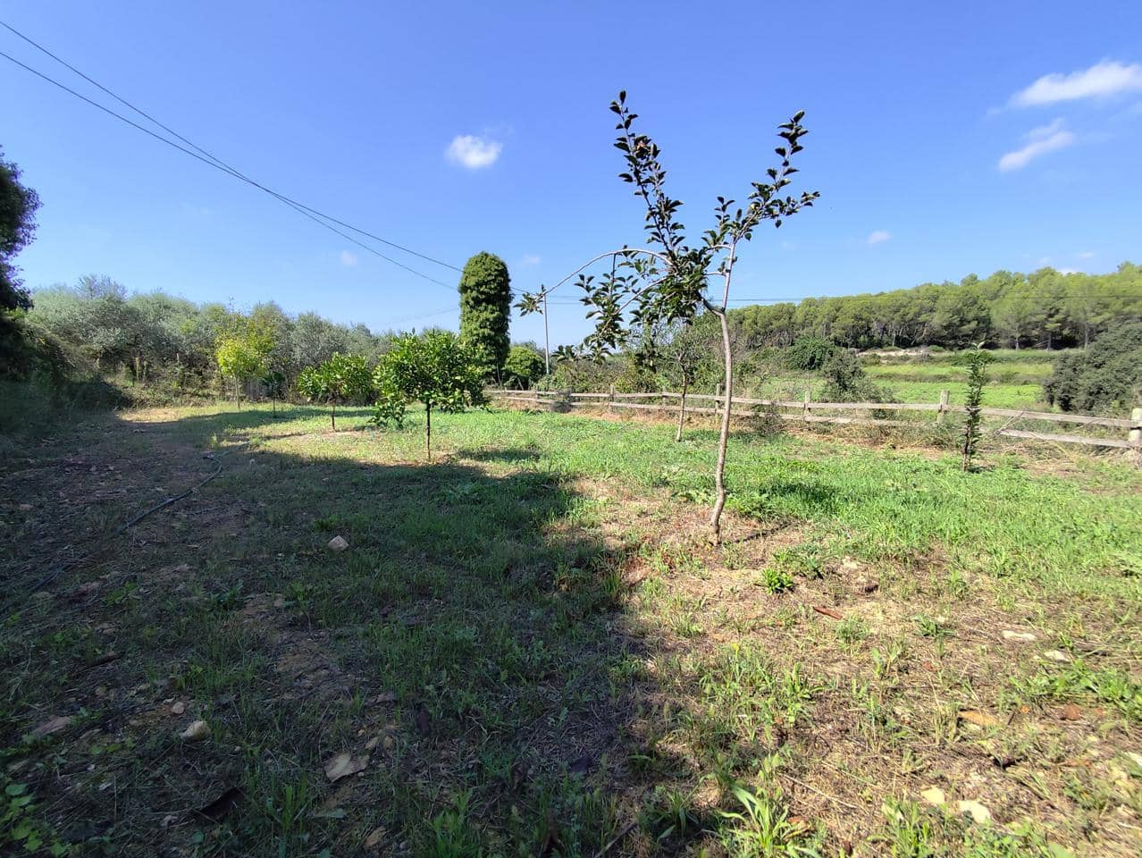 4 Zimmer Finca/Landgut zu verkaufen in Castellet i la Gornal - 380.000 € (Ref: 9270545)