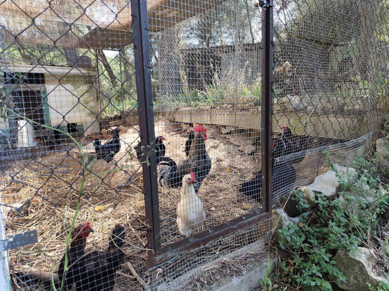 4 Zimmer Finca/Landgut zu verkaufen in Castellet i la Gornal - 380.000 € (Ref: 9270545)