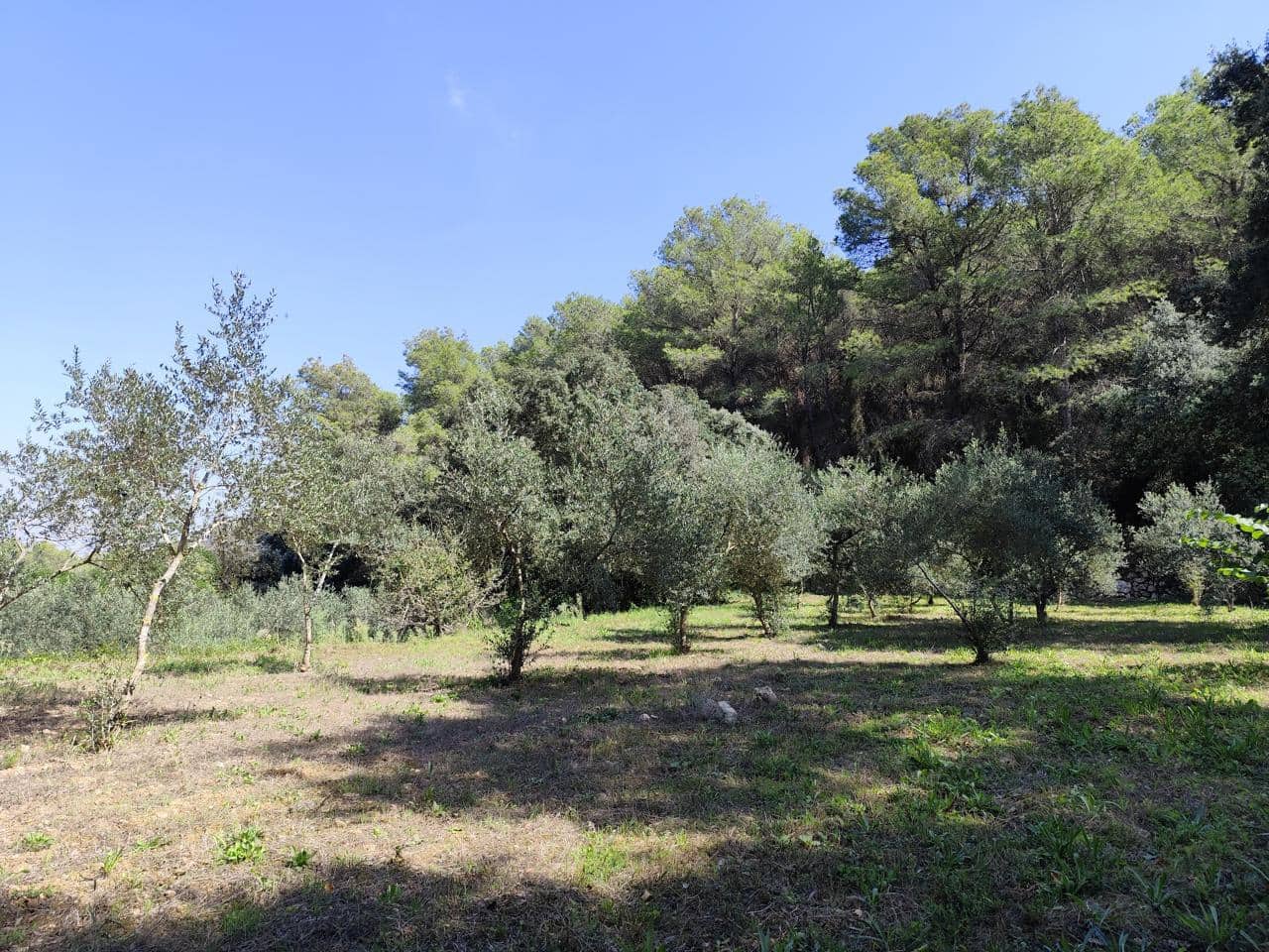 4 Zimmer Finca/Landgut zu verkaufen in Castellet i la Gornal - 380.000 € (Ref: 9270545)