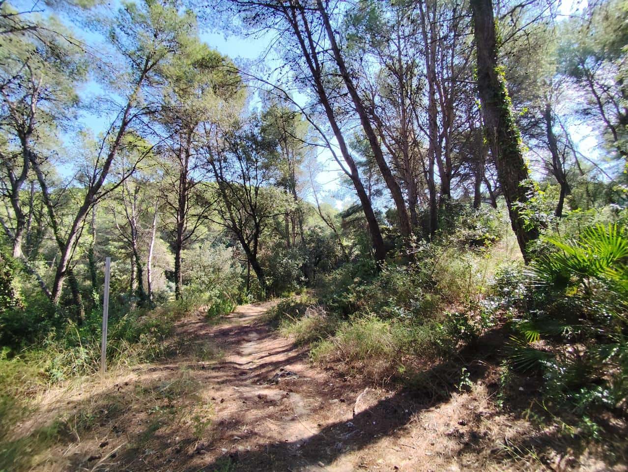 4 Zimmer Finca/Landgut zu verkaufen in Castellet i la Gornal - 380.000 € (Ref: 9270545)