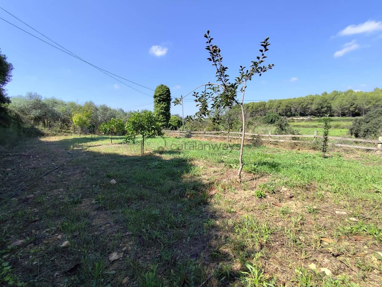 4 bedroom Finca/Country House for sale in Castellet i la Gornal - € 349,000 (Ref: 9270545)