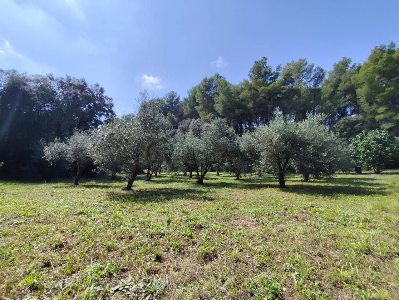4 bedroom Finca/Country House for sale in Castellet i la Gornal - € 349,000 (Ref: 9270545)