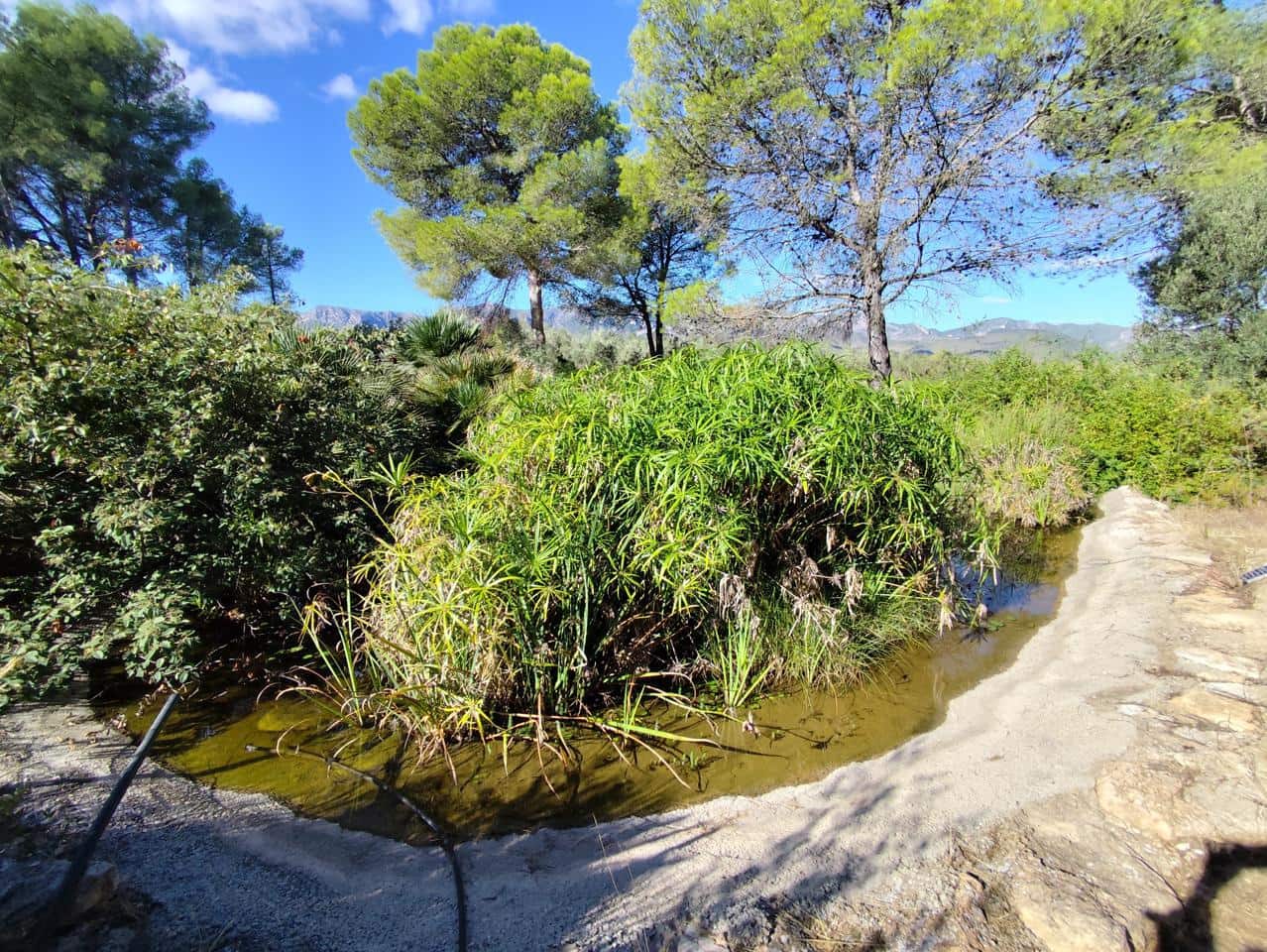 4 soveværelse Finca/Landehus til salg i Tivissa med swimmingpool - € 549.000 (Ref: 9282800)