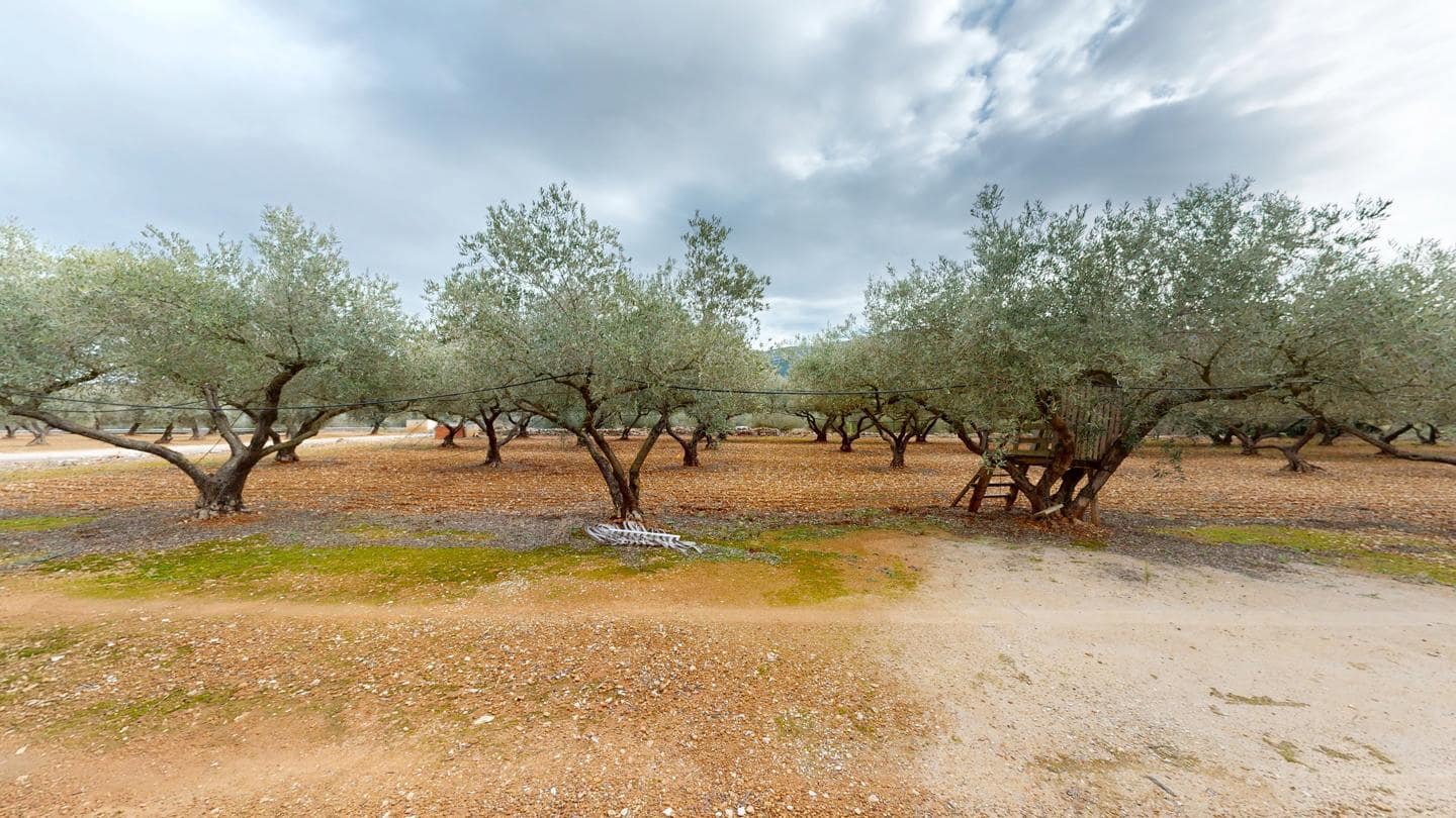 2 slaapkamer Finca/Landhuis te koop in Freginals - € 99.000 (Ref: 9517869)