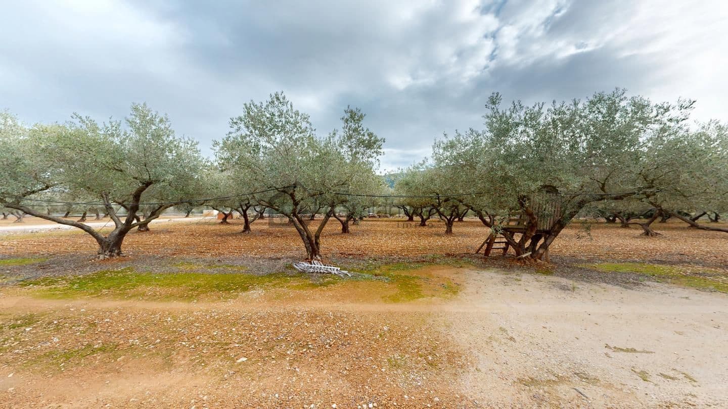 2 bedroom Finca/Country House for sale in Freginals - € 99,000 (Ref: 9517869)