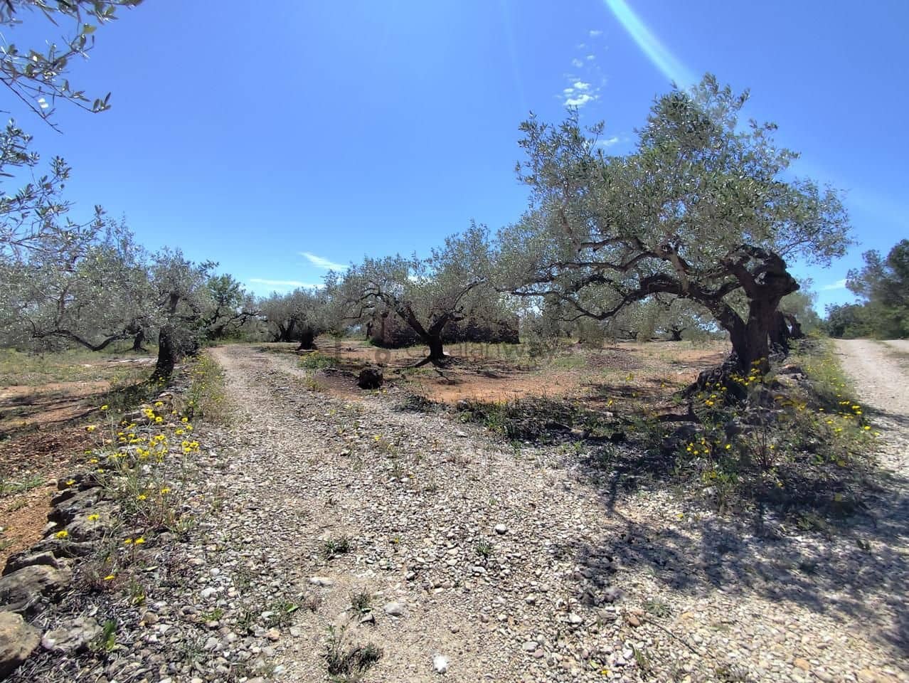 Finca/Herregård til salgs i Camarles - € 79 000 (Ref: 9776889)