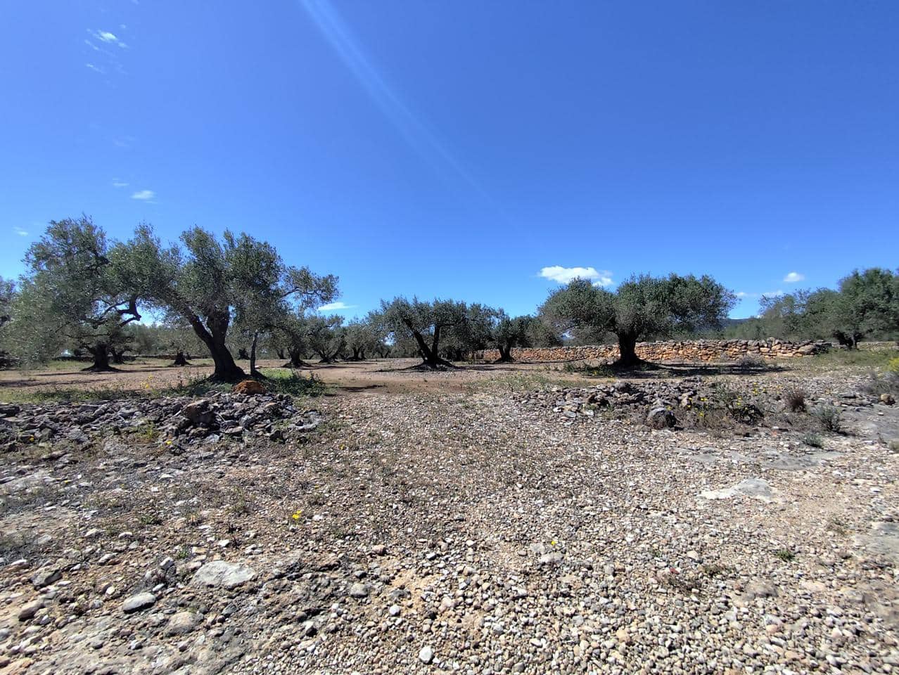 Finca/Herregård til salgs i Camarles - € 79 000 (Ref: 9776889)