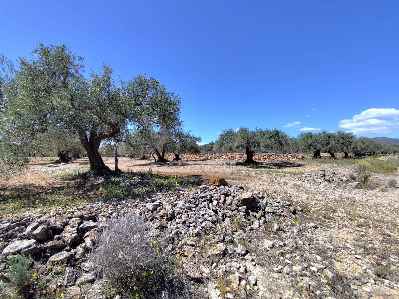 Finca/Herregård til salgs i Camarles - € 79 000 (Ref: 9776889)