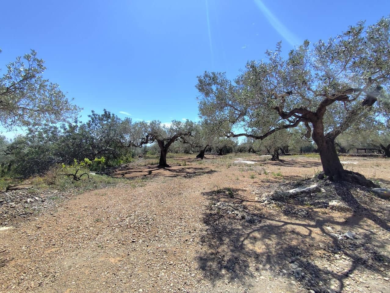 Finca/Herregård til salgs i Camarles - € 79 000 (Ref: 9776889)