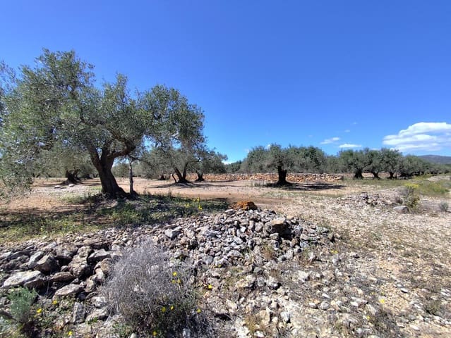 Finca/Hus på landet till salu i Camarles - 79 000 € (Ref: 9776889)