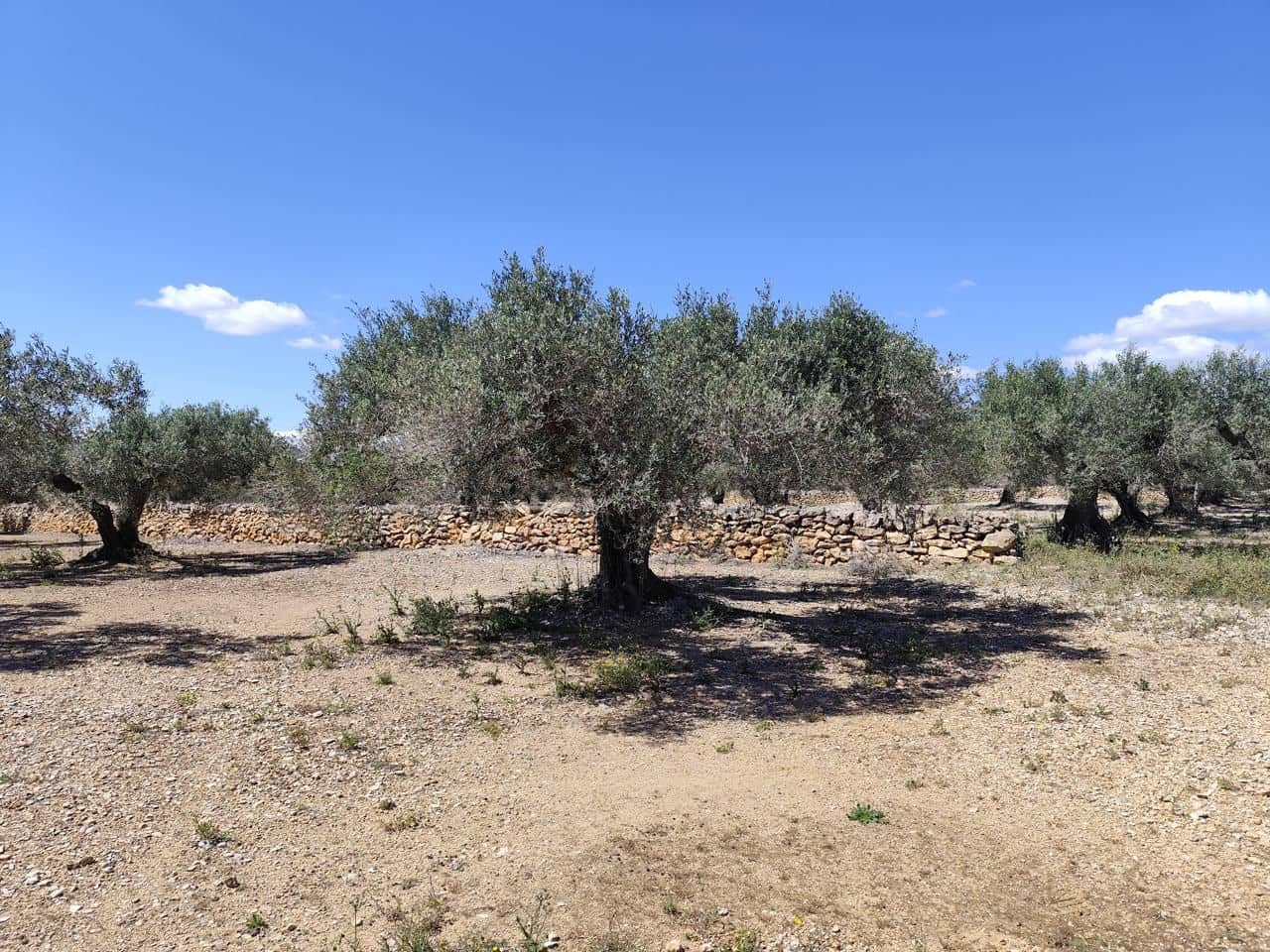 Finca/Herregård til salgs i Camarles - € 79 000 (Ref: 9776889)