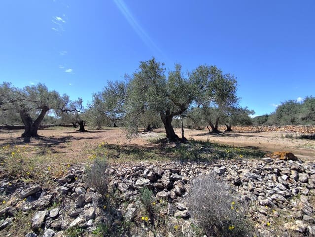 Finca/Hus på landet till salu i Camarles - 79 000 € (Ref: 9776889)