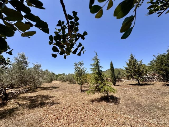 3 soveværelse Finca/Landehus til salg i L'Ametlla de Mar med garage - € 265.000 (Ref: 9950330)