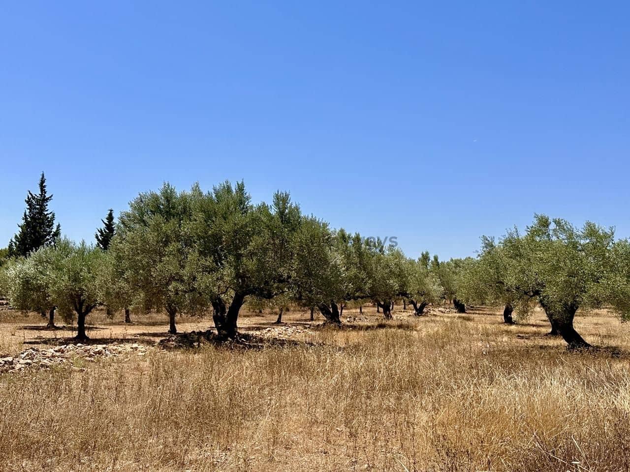 3 bedroom Finca/Country House for sale in L'Ametlla de Mar with garage - € 265,000 (Ref: 9950330)