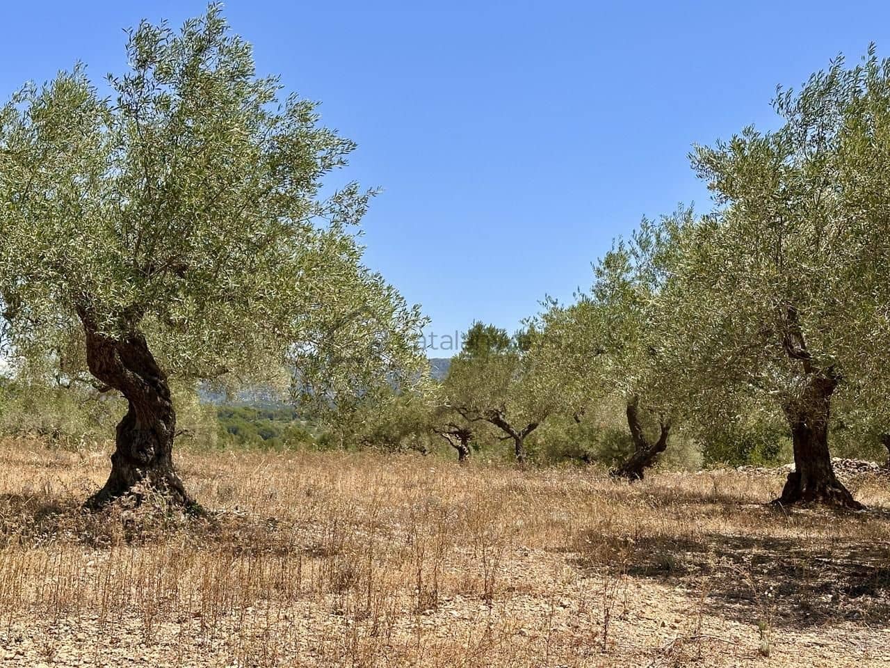 3 bedroom Finca/Country House for sale in L'Ametlla de Mar with garage - € 265,000 (Ref: 9950330)