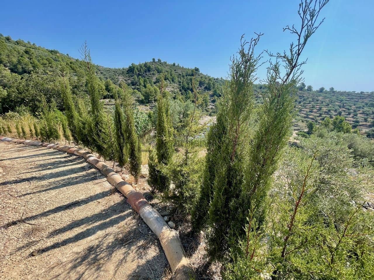 3 slaapkamer Finca/Landhuis te koop in Tortosa - € 285.000 (Ref: 9953553)
