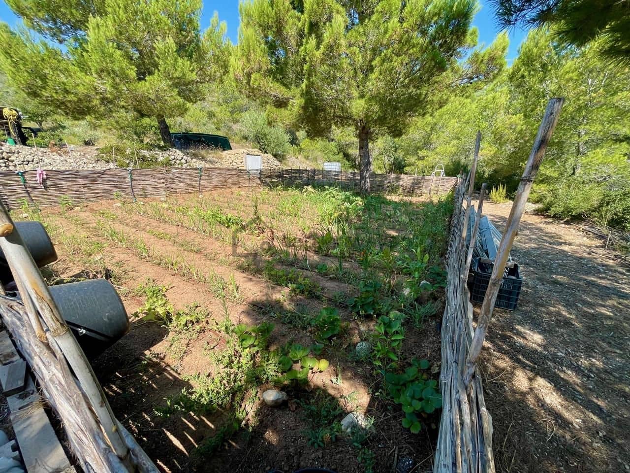 3 slaapkamer Finca/Landhuis te koop in Tortosa - € 285.000 (Ref: 9953553)