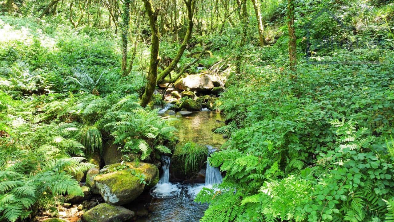 3 bedroom Finca/Country House for sale in Covelo - € 120,000 (Ref: 9417276)