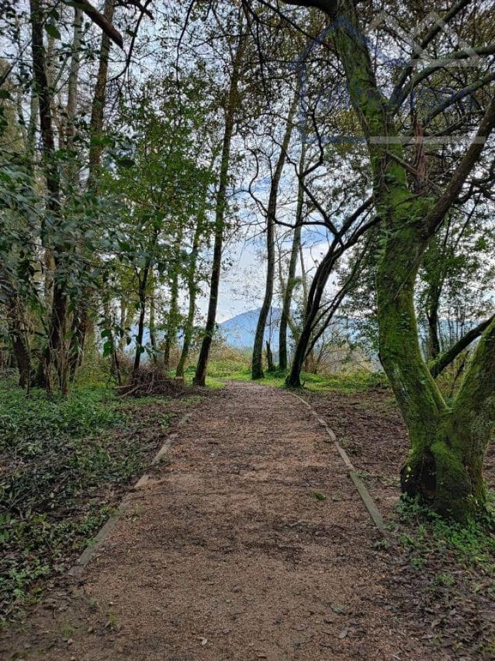 3 bedroom Villa for sale in O Rosal - € 65,000 (Ref: 9417283)