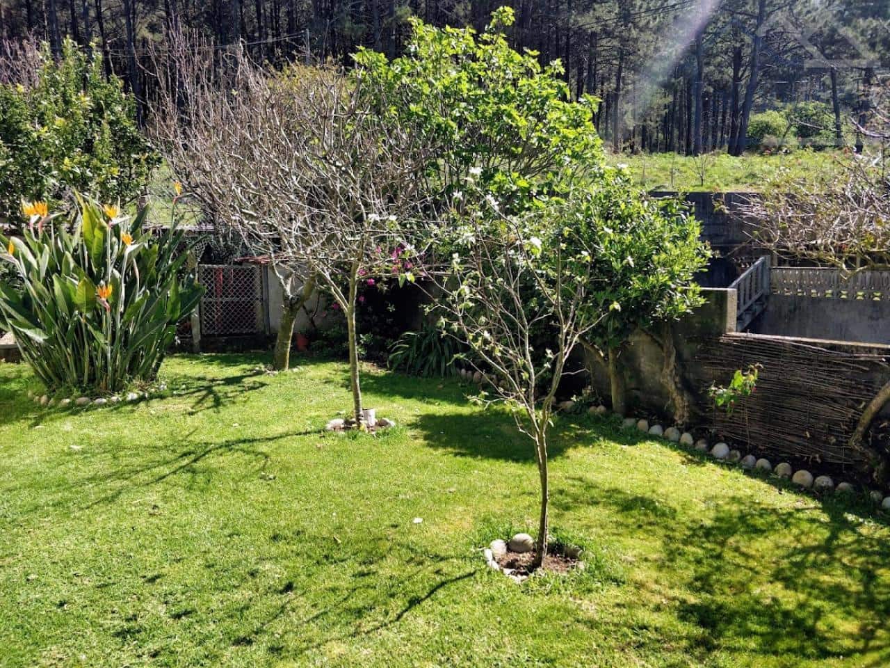 2 bedroom Townhouse for sale in O Rosal with garage - € 285,000 (Ref: 9417304)