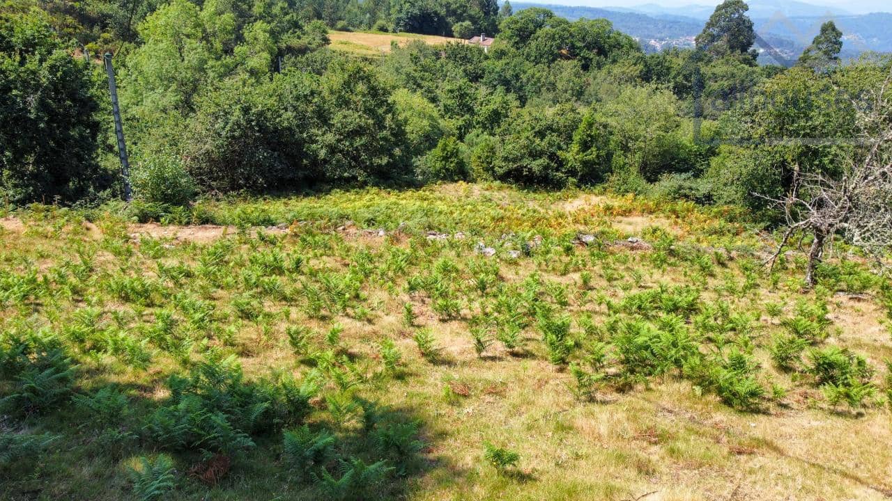 Undeveloped Land for sale in Covelo - € 52,250 (Ref: 9417322)