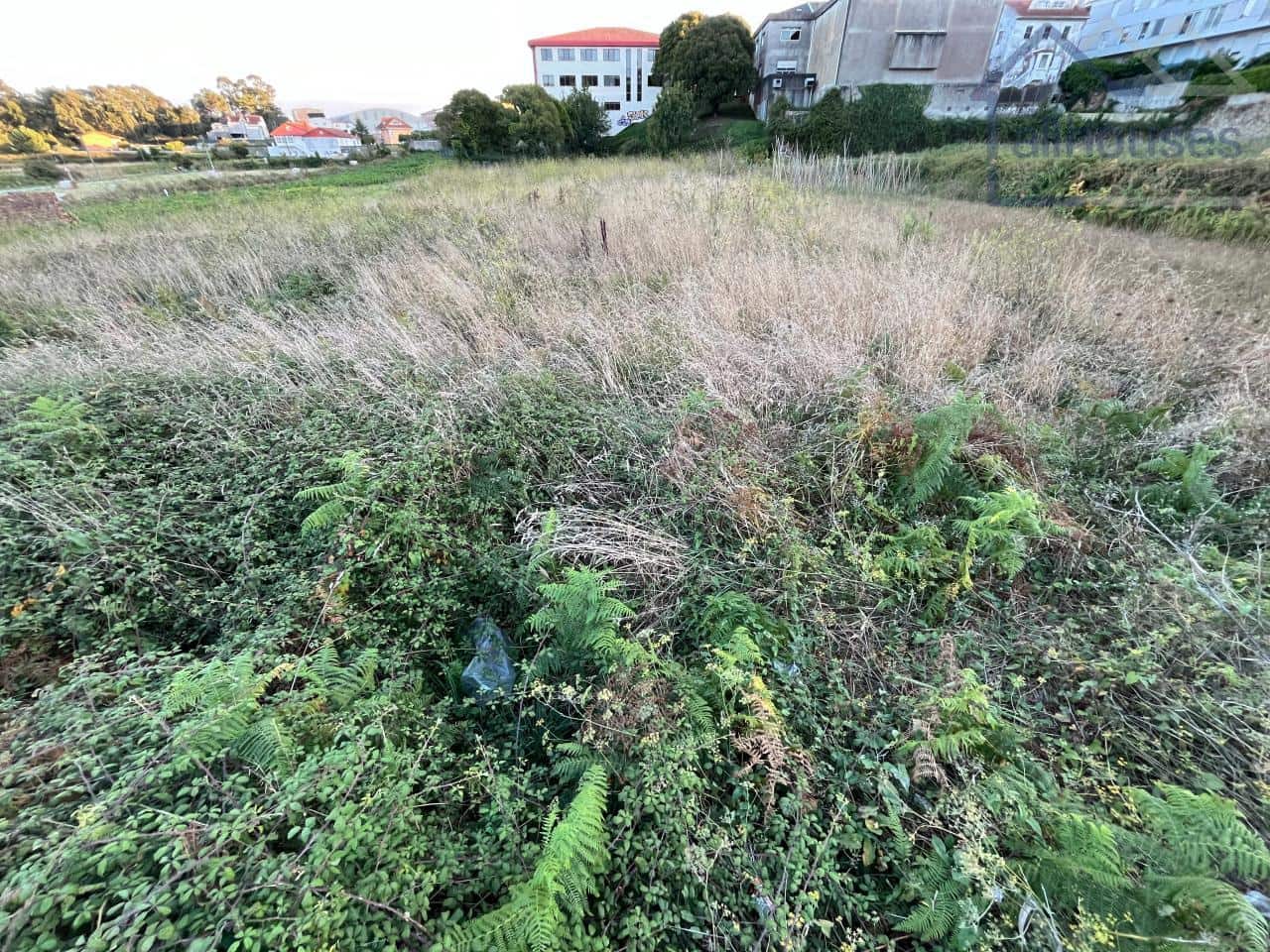 Undeveloped Land for sale in A Guarda - € 78,000 (Ref: 9417331)