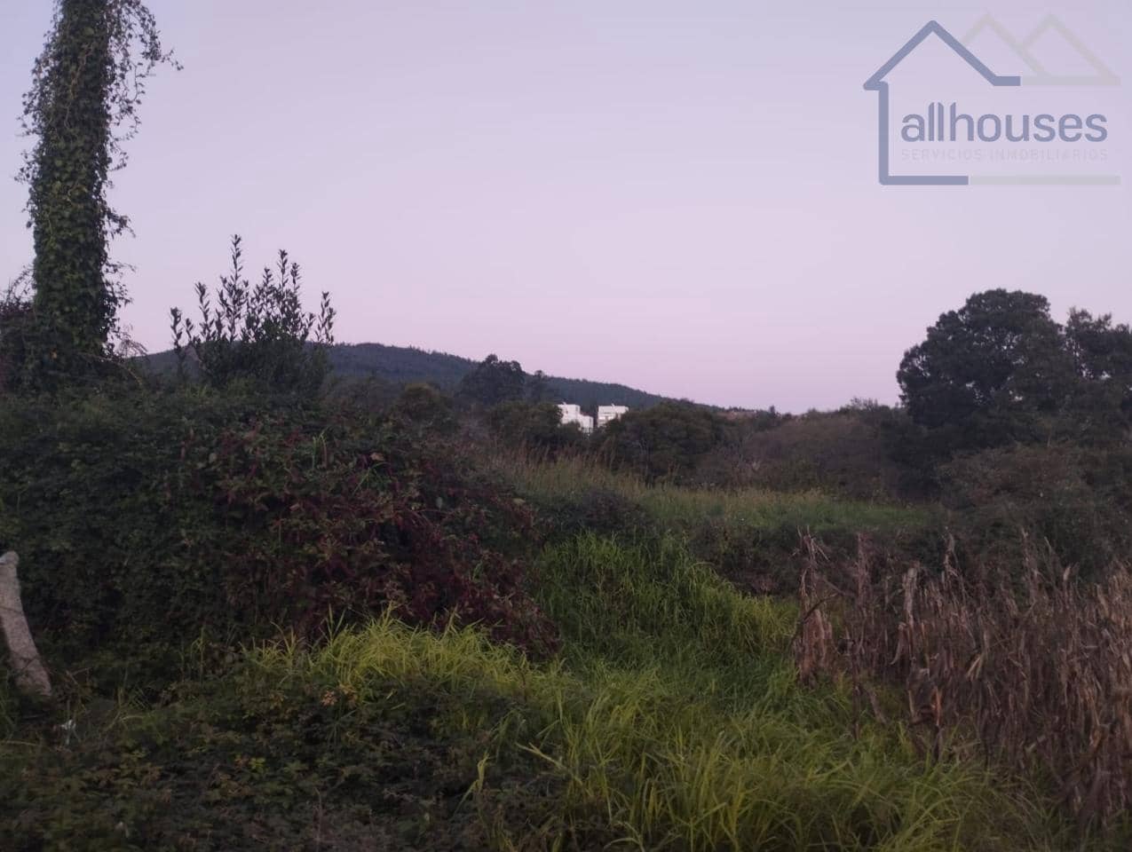 Undeveloped Land for sale in O Rosal - € 35,000 (Ref: 9417333)