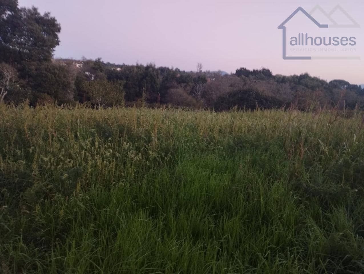 Undeveloped Land for sale in O Rosal - € 35,000 (Ref: 9417333)