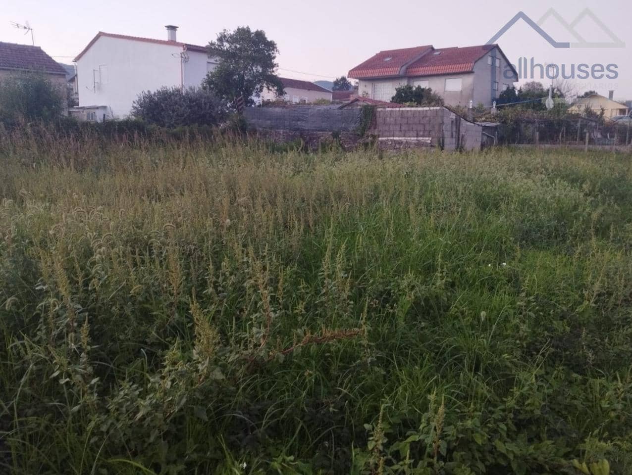 Undeveloped Land for sale in O Rosal - € 35,000 (Ref: 9417333)