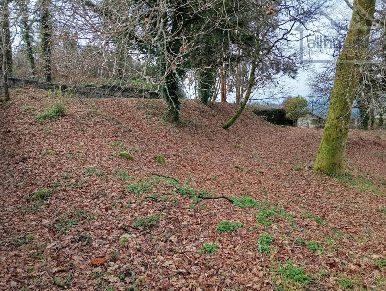 Undeveloped Land for sale in Ponteareas - € 35,000 (Ref: 9417337)