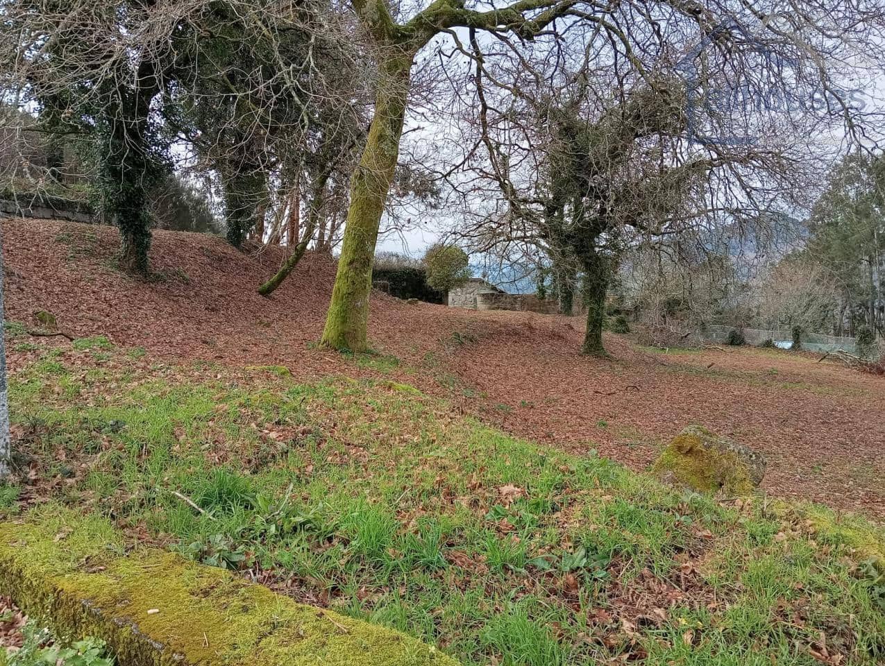 Undeveloped Land for sale in Ponteareas - € 35,000 (Ref: 9417337)