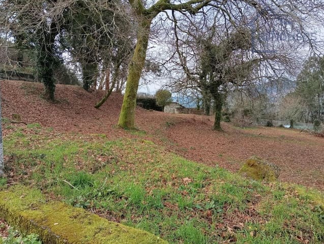 Undeveloped Land for sale in Ponteareas - € 35,000 (Ref: 9417337)