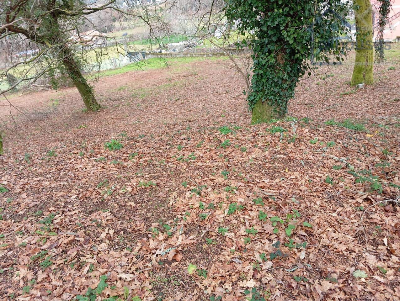 Undeveloped Land for sale in Ponteareas - € 35,000 (Ref: 9417337)