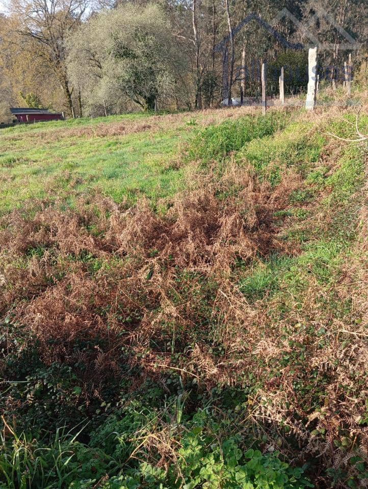 Undeveloped Land for sale in O Porrino - € 25,000 (Ref: 9417340)