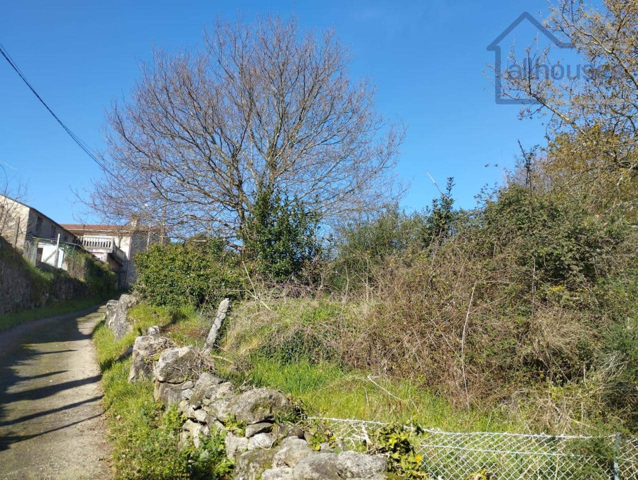 Undeveloped Land for sale in O Rosal - € 43,700 (Ref: 9417342)