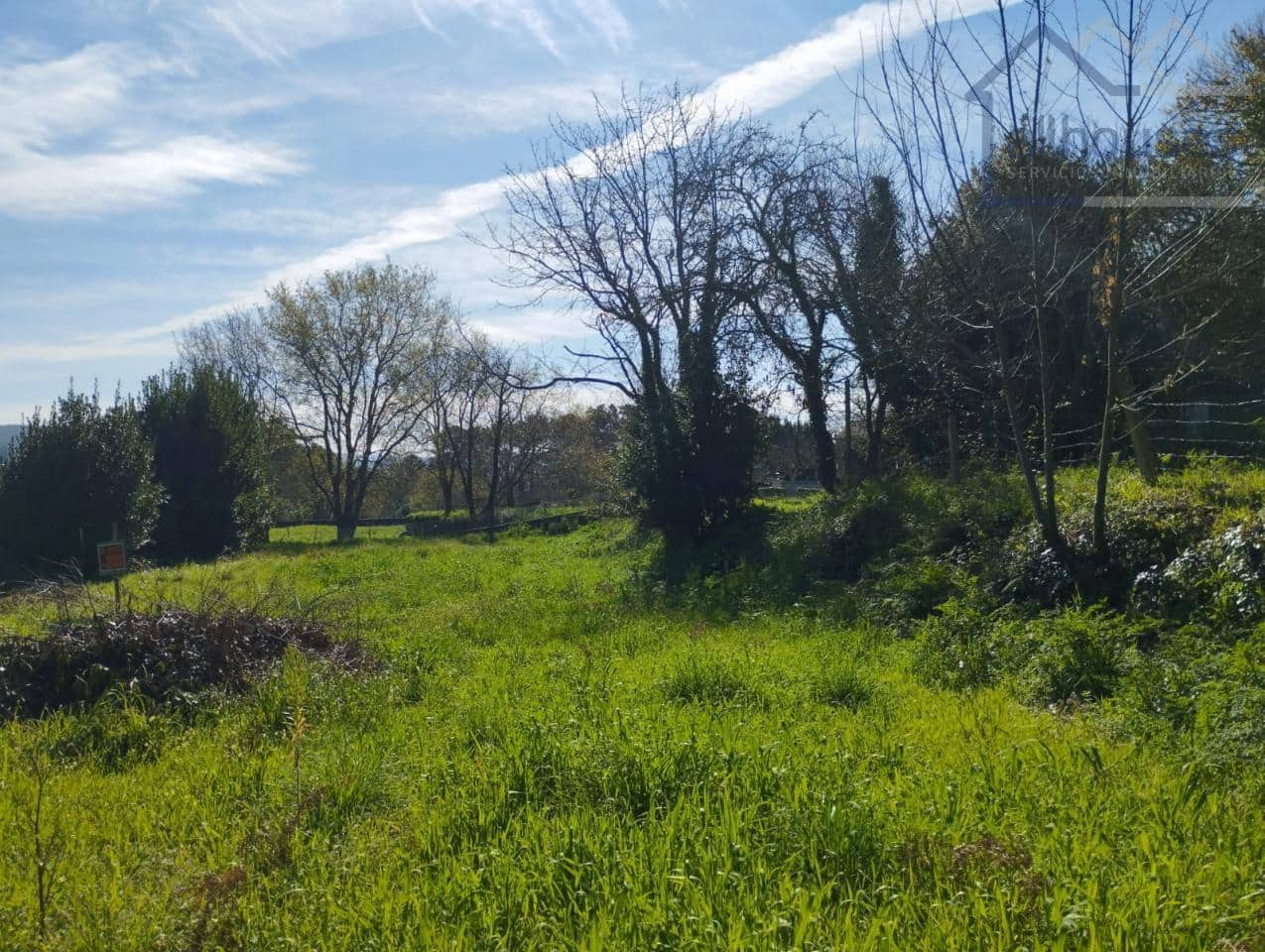 Undeveloped Land for sale in O Rosal - € 43,700 (Ref: 9417342)