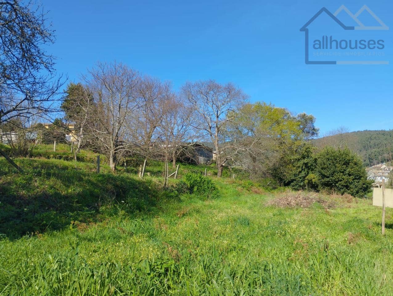 Undeveloped Land for sale in O Rosal - € 43,700 (Ref: 9417342)