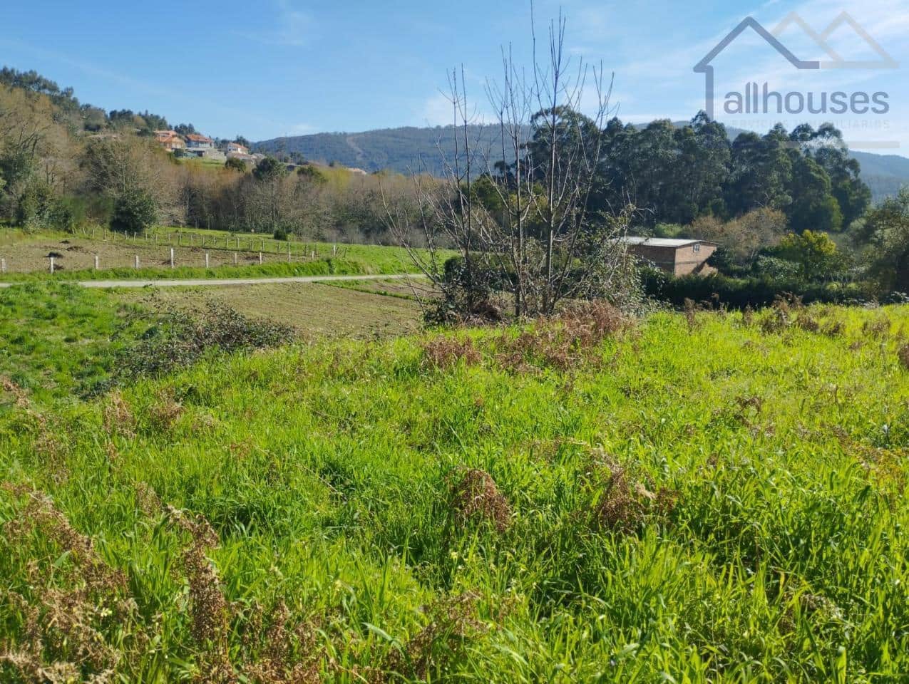 Undeveloped Land for sale in O Rosal - € 43,700 (Ref: 9417342)